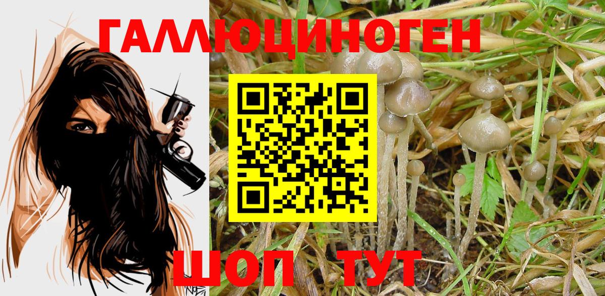 Галлюциногенные грибы GOLDEN TEACHER  Вход с VPN  Нижнекамск 